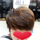 월영동245 이미지