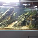 에스엔알(SNR) | SNR후기