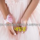 켈리네일 - 서귀포시 | 켈리네일