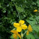 모래벌농장 이미지