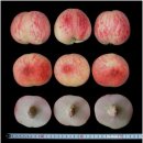 지희농장 이미지