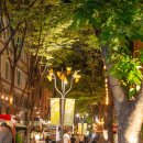 보정동 카페거리 이미지