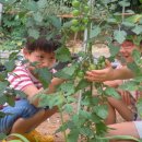 구산초등학교 이미지