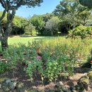 캐슬렉스제주(회원제18홀) | 캐슬렉스 제주 캐슬렉스 제주cc 캐슬렉스cc 제주골프장