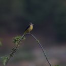 용담낚시터 이미지