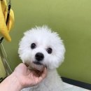 올리스 방이점 이미지