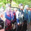 비둘기한국@ 이미지