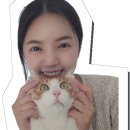 방가방가피부샵
