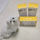 맘마독 | 강아지 신장사료 추천 처방식 화식 하이독 키드프