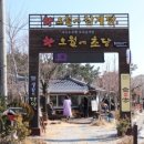 👑 [최종 확정판] 미식가를 위한 3色 테마: 겹치지 않는 한국 맛집 여행