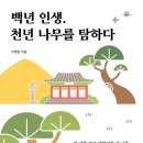 천년나무 이미지