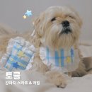 강아지랑 커플룩 토클 스카프 키링 후기