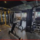 그린핏 코리아 이미지