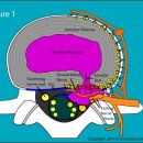 본앤장한의원 이미지