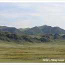 바얀불락 이미지