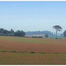 상아목장 이미지