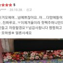 미스초이 이미지