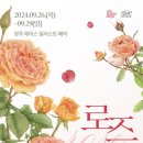 보태니컬아트 이미지