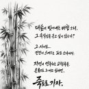 Re: ＜ ＜좌석표＞ ＞ 2026년 3월 8일 (일)정기명산2회차 : 홍 성 죽 도 이미지
