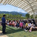 반동초등학교 이미지