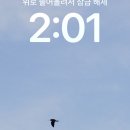 해모로약국 이미지