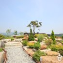 한밭수목원 이미지