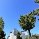 구리 멀티스포츠센터 공휴일 주말 자유수영