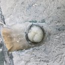 삼성설비집수리 이미지