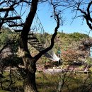 구덕청소년수련관 이미지