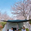선흘리캠핑장