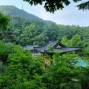 보현사샘물 이미지