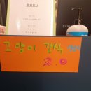 호수로 간 고양이 이미지