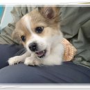 아이조아요양보호소 전남광주점 이미지