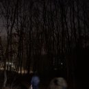 어진이네민박 이미지