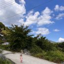 들꽃펜션민박 이미지