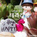 흰돌목장 | 테라리움 만들기 &amp; 관리 방법 _ 반려식물 다육이 DIY 키트