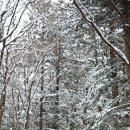 타임9002 이미지