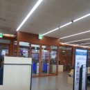 용지각(버스정류장) | 2019.08.30 강릉여행