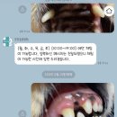 행복튼튼동물병원 이미지