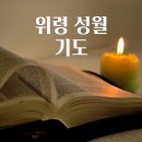 성월 이미지