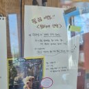 4866 | 익산 마동 두쫀쿠 버터떡 맛집 스누지 카페 후기