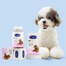 빛나는 강아지 이미지