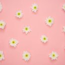 색채 심리 이미지