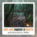 초원애견샵 | 제주 서쪽 가볼만한 곳 BEST5 (여행지, 숙소, 카페까지)