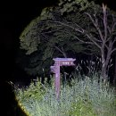 곡성-086 네이버블로그