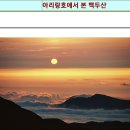 #지혜로운 | 지식의 요새를 짓다:온톨로지, 미래전장을 벼리다;저도시인(219)