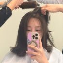 가이컷트라인 네이버블로그