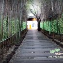 드래곤힐스파 | 드래곤힐스파 가격 후기