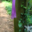 제주기독교순례길 2코스 순교의 길 이미지