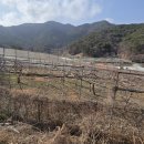 적덕농장 네이버블로그